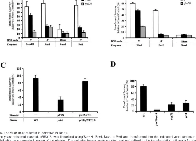 Fig. 4. The yc1d mutant strain is defective in NHEJ.