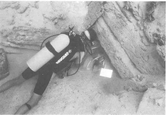 Fig.  9.  Brief examination  of hull  con- con-struction methods during the  1994  Red  Sea  Shipwreck  Survey  had  taught  us  that the Sadana Island wreck was built  in a previously undocumented fashion