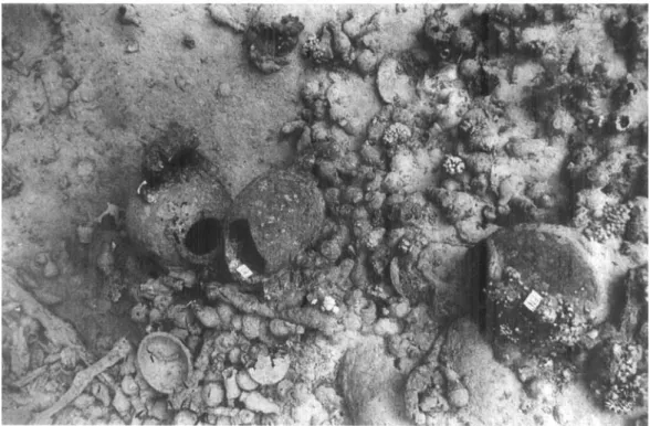 Figure  2 View of lower kullal field  with zillu  BI and K V  t o  the left  of centre