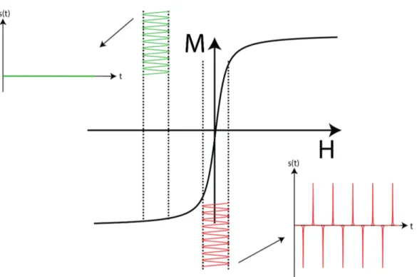 Figure 2.3: The signal induced in the receive coils from the SPIOs is illustrated with the red signal