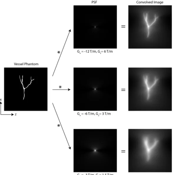 Figure 2.6: A vessel phantom and the imaging PSFs for 3 different gradients are shown