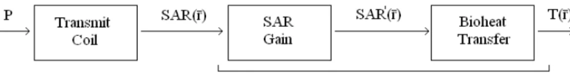 Figure 2.1: RF heating scheme: Power, transmitted by the RF coil is absorbed by the tissues, denoted as the specific absorbtion rate (SAR)