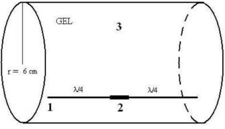Figure 3.4: Safe wire experiment setup: Regular and safe wires were inserted into cylindrical gel phantoms and MR scanned
