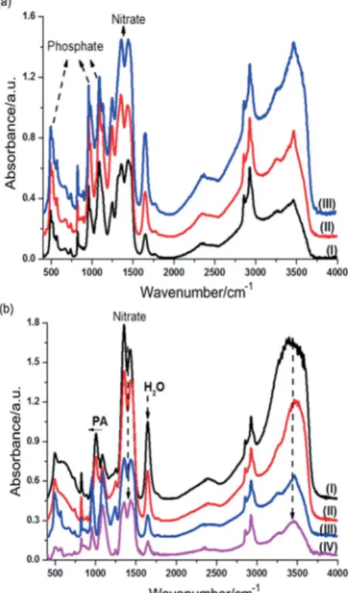Figure 3. (a) FTIR spectra of fresh samples with CaN/PA/C 12 E 10 molar ratios of (I) 4.2:2.5:1, (II) 5.8:3.5:1 and (III) 7.5:4.5:1