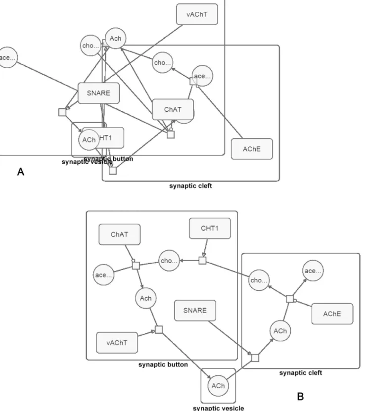 Fig 7. Sample layout. (A) A sample process description map laid out randomly. (B) The same map laid out using our specialized layout algorithm.