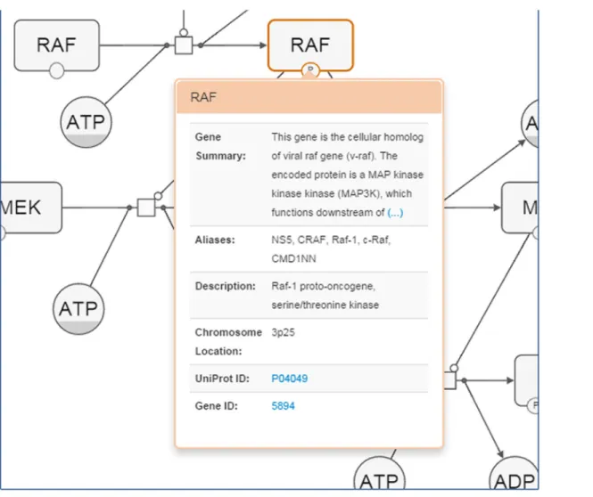 Fig 9. A sample screenshot illustrating how genes may be inspected for details.