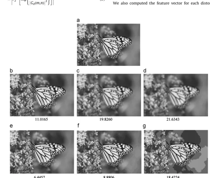 Fig. 5. (a) Original image, (b) low blurring, (c) medium blurring, (d) high blurring, (e) low JPEG compression level, (f) medium JPEG compression level and (g) high JPEG compression level
