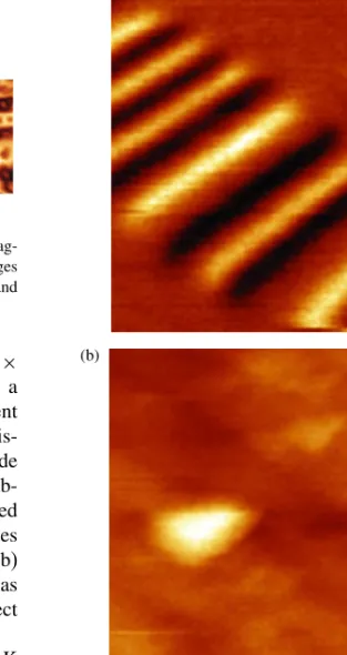 Fig. 3. SHPM image of (a) iron garnet crystal and (b) NdFeB demag- demag-netised magnet obtained in AFM Tracking mode.Size of the images and vertical scale of the images are (a) 40 × 40 m and 38 Gauss, and (b) 54 × 20 m and 3,330 Gauss, respectively.