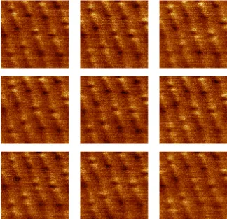 Figure 4.6: Room temperature SHPM images of NIST magnetic reference sample  over 40µm x 40µm area with 128 x 128 pixels resolution, 100 µm/sec scan speed, 