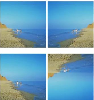 Figure 1.1: Images on the left column are original images, on the right column are flipped versions
