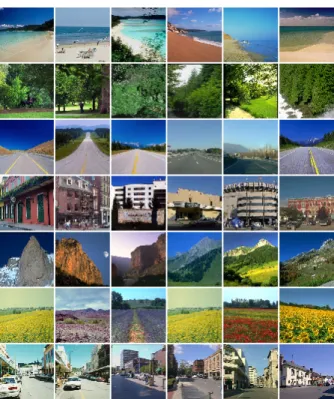 Figure 6. Examples for wrongly classified scenes. Rows corre- corre-spond to the rows of the confusion matrices.
