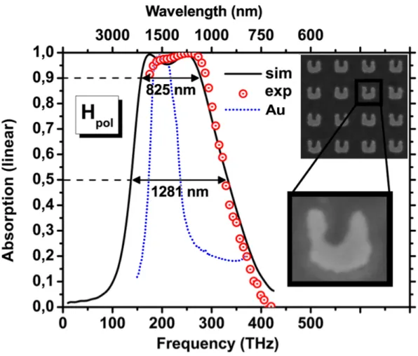 Fig. 4. Numerical and experimental data of absorbance derived from scattering parameters