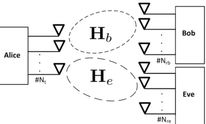 Figure 3.1: The MIMOME setup.
