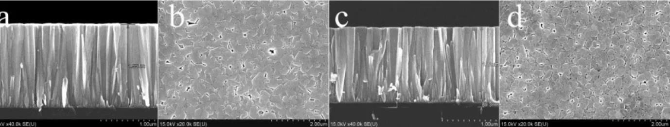 Figure 2. Cross-section and plain view SEM images of ZnO thin films hydrothermally deposited  during 120 min on the surface of monocrystalline Si wafer with “thick” seed layer with (a, b) and  without (c, d) SiO 2  buffer layer