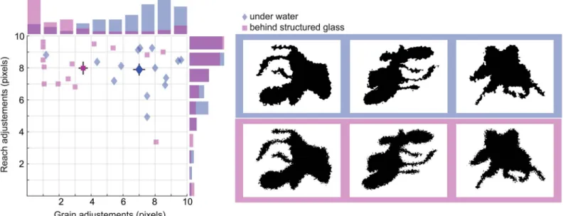 Figure 5 shows the group mean for grain and reach parameter adjustments (solid icons) overlaid with mean individual responses (transparent icons)