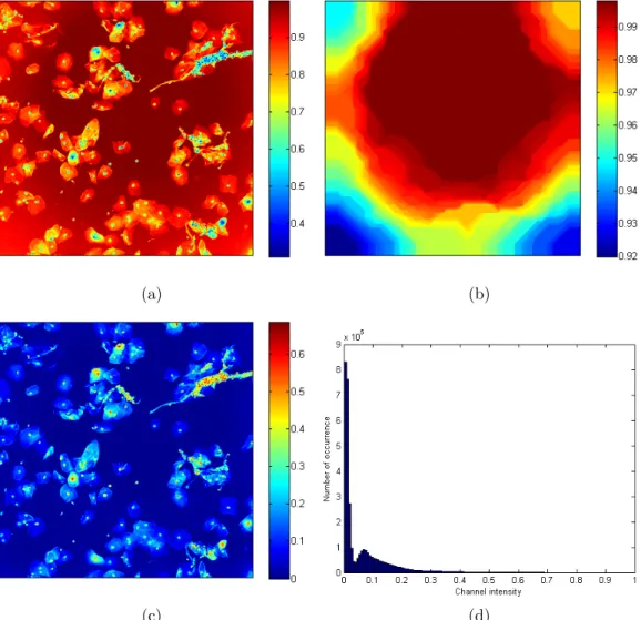 Figure 3.3: Use of black top-hat transform for mitigating inhomogeneous illumi- illumi-nation (a) L channel of the image (b) closing with a large structuring element (c) the illumination-corrected L channel by the black top-hat transform (d) the histogram 