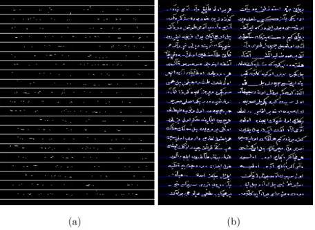 Figure 2.12: (a) Approximation of interline gaps, (b) computed baselines.