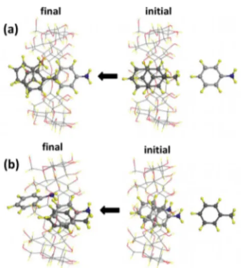 Figure 6. Side view of optimized structures of the guest (aniline and toluene) dimer and γ-CD inclusion complexes (IC) with incoming extra guest molecules toward it