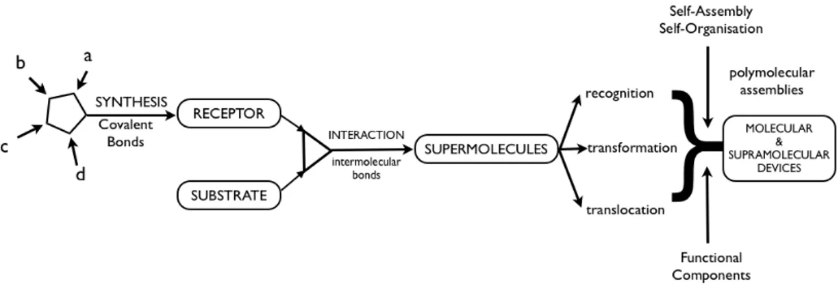 Figure 3. From molecular to supramolecular chemistry; molecules, supermolecules, molecular and  supramolecular devices