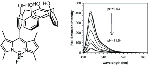 Figure 6.  Fluorescence intensity of Bodipy is controlled via a pH sensitive PeT  donor 