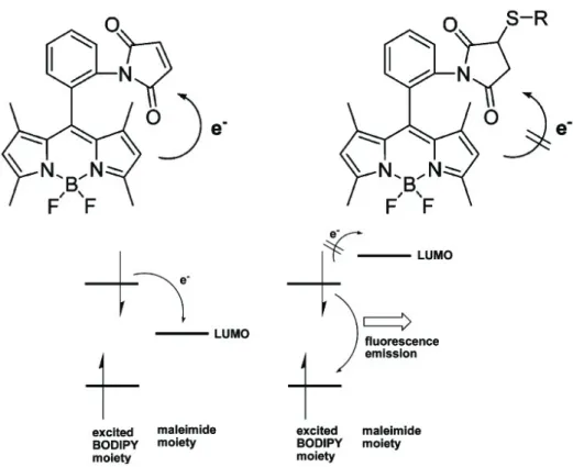 Figure 7.  Reverse PeT (d-PeT) mechanism can also be used in the same  manner 