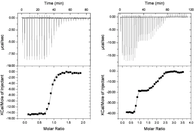 Table 2. Binding Constants Determined by Isothermal Titration Calorimetry (ITC) for the Relevant Binding Events