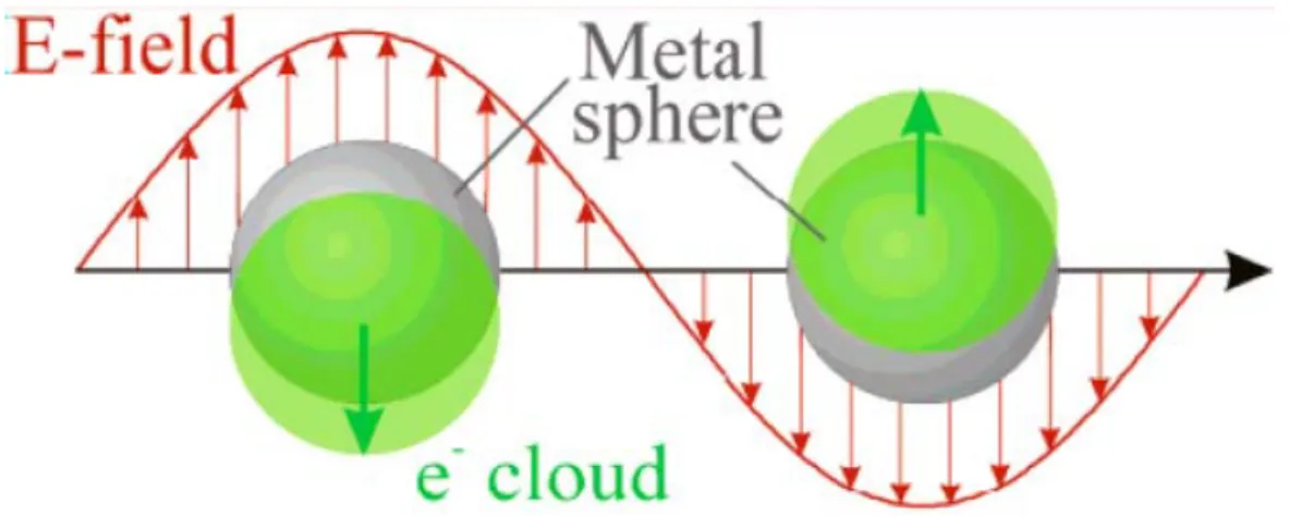 Figure 2.1. Schematic representation of electric field due to an incident wave and  corresponding shift of electron cloud resulting in a plasmon resonance of the particle [21]