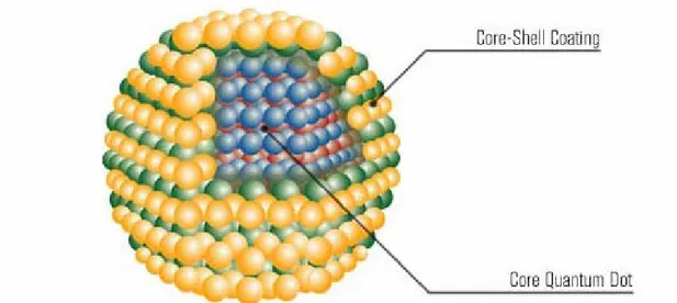 Figure 3.1. Schematic representation of a core-shell quantum structure (Evident  Technologies) [51]