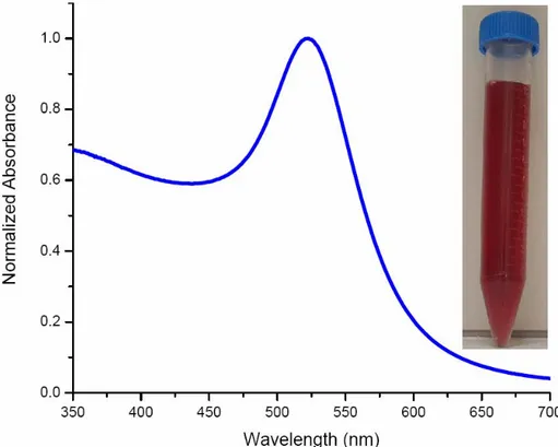 Figure 4.3.1 Optical absorption spectrum of our Au nanoparticles. Inset is a picture of our  Au nanoparticles in vial after synthesis
