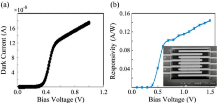 Fig. 4. (a) Dark current versus reverse bias curves of MSM photodetectors.