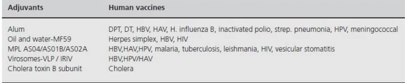 Table 1 Adjuvants in human vaccines (Reproduced with permission from ref.[37]) 