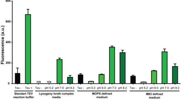 Figure 3. TEVp activity in LB complex medium at pH equals to 5.2, 7, and 8.2, MOPS de ﬁned medium at pH equals to 5.2, 6.0, 7.0, and 8.2, and M63 de ﬁned medium at pH equals to 5.2, 6.0, 7.0, and 8.2.