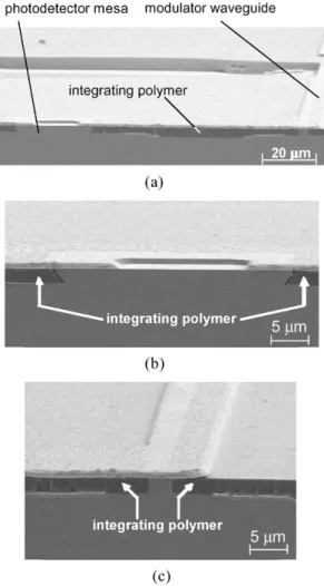 Fig. 10. Cross-sectional SEM picture of (a) on-chip integrated photodiode and modulator using BCB as the integrating polymer, (b) photodiode, and (c) modulator.