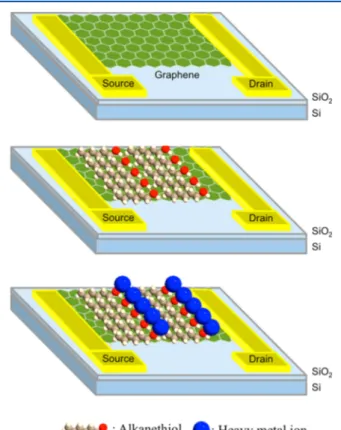 Figure 4. Transport measurements associated with a FET device based on nonfunctionalized graphene, featuring ambipolar behavior and a Dirac point located at a gate voltage value of about −18 V.