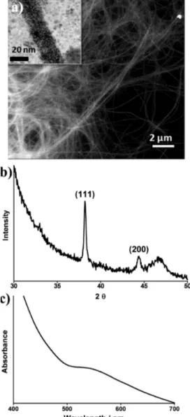 Figure 4. TEM images of gold nanostructures formed after 1 day of aging. (a) Gold nanowires obtained in the presence of 6.6 mM peptide and (b) peptide surrounded nanowires assembled in the presence of 1.19 × 10 −2 M peptide.