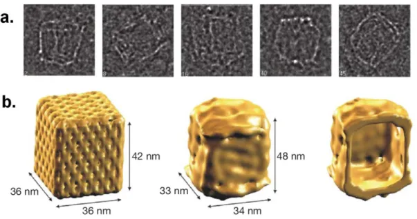 Figure  1.11.  a.  Single-particle  cryo-TEM  images  of  box-shaped  ensembles.  b. 