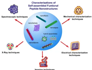 Figure 2. Common characterization techniques for a variety of self- self-assembled peptide nanostructures.