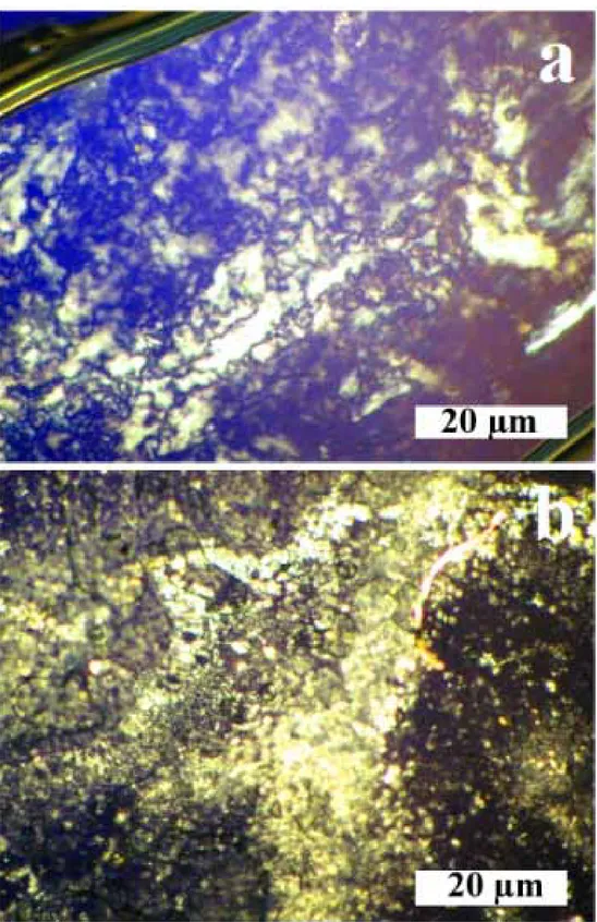 Figure 3.9.  Birefringence effect of self-assembled ALP nanostructures (a) in ethanol,  (b) in H 2 O at pH 10, magnification 500X