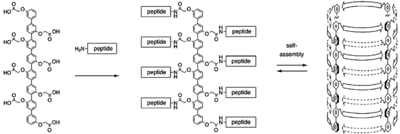 Figure 4 Tripeptide-based self-assembling amphiphilic molecule. Reproduced with permission from Ref