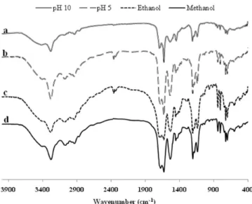 Figure 4. FT-IR spectra of the ALP samples (a) in H 2 O at pH 10, (b) in H 2 O at pH 5, (c) in ethanol, and (d) in methanol.