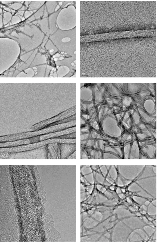 Figure 2.5 TEM images of ZnPc with PA at pH 5 (0.22 wt% PA). 