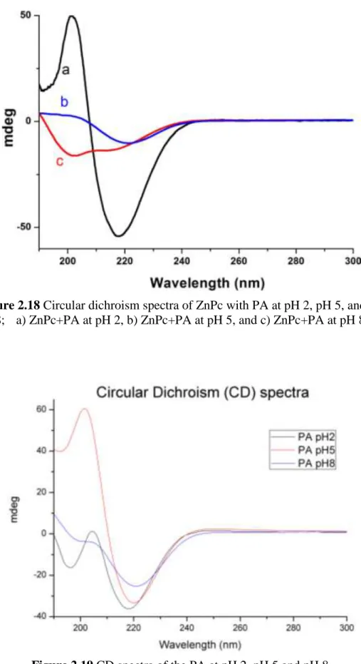 Figure 2.19 CD spectra of the PA at pH 2, pH 5 and pH 8. 