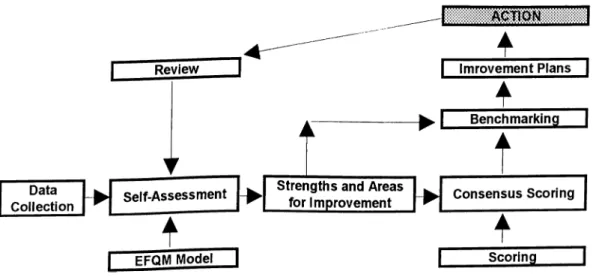 Figure 8:  A Summary o f Self-Assessment Process