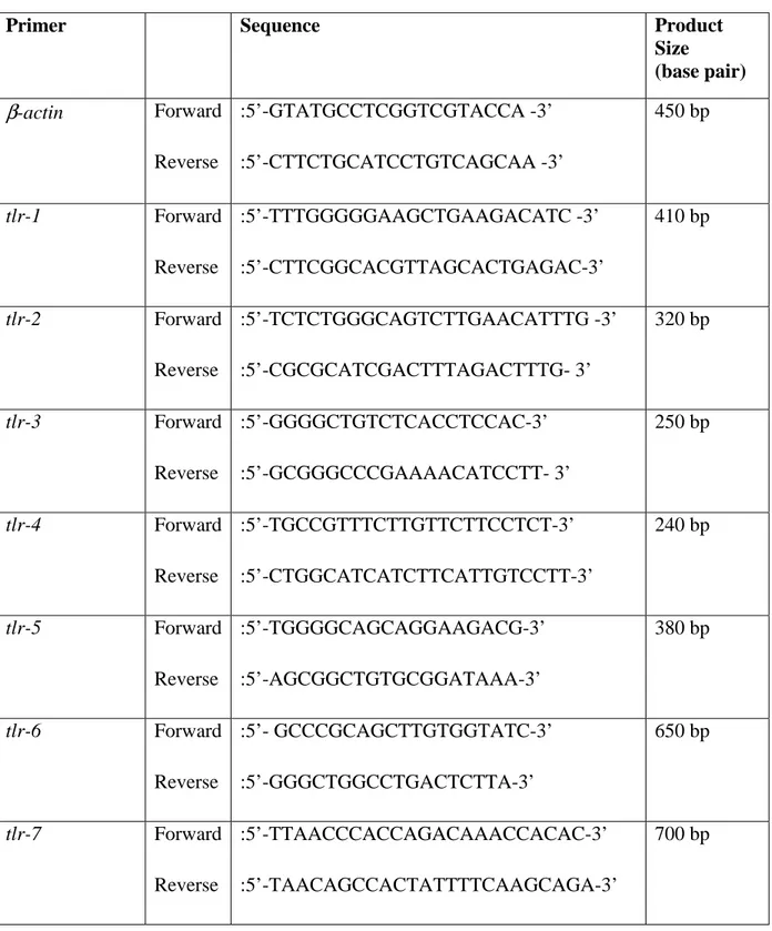 Table 3.1. The primer names, sequences, and expected product sizes of the primer pairs used  throughout PCR assays