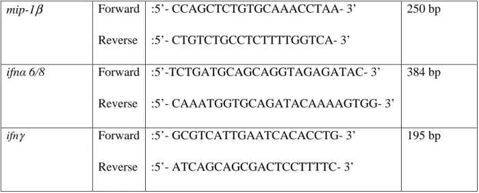 Table 3.2. PCR reactants 