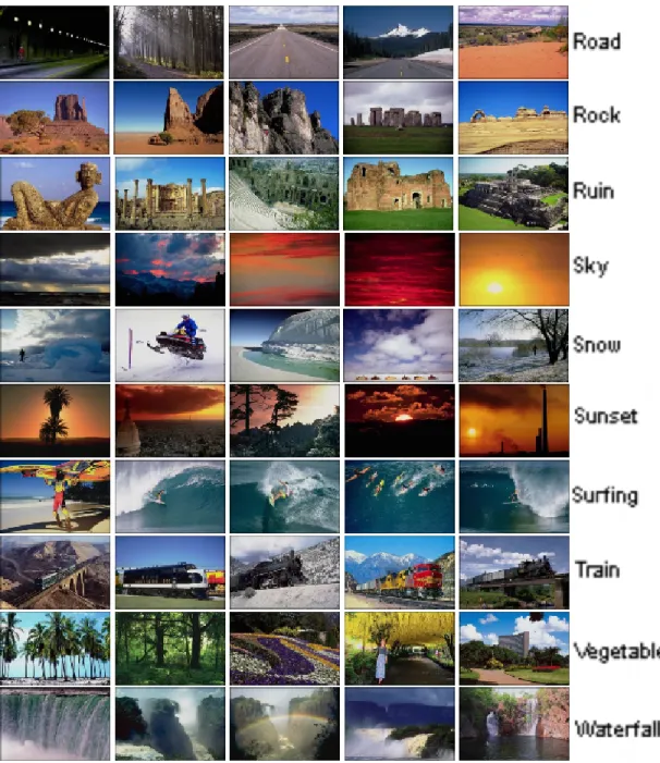 Figure 1.5: Example images from COREL dataset for classes Road, Rock, Ruin, Sky, Snow, Sunset, Surfing, Train, Vegetable, Waterfall.