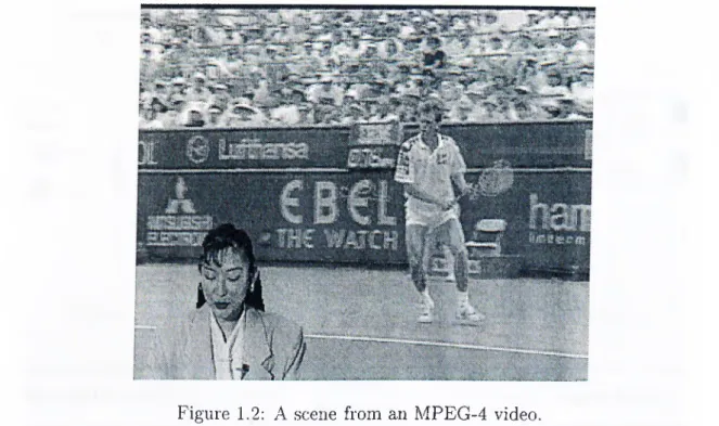 Figure  1.2:  A  scene  from  an  MPEG-4  video.
