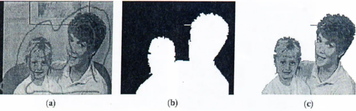 Figure  3.5:  A  color segmentation result  for  Mother &amp;  Daughter:  (a)  input  image  and  supervision  (b)  segmentation  mask  (c)  segmented  object.