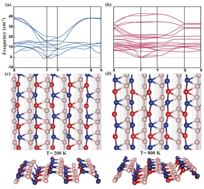 FIG. 2. The phonon spectrum of (a) cw- and (b) acw-borophene, and snapshots of molecular dynamics simulations of (c) cw-borophene at 200 K and (d) acw-borophene at 800 K.