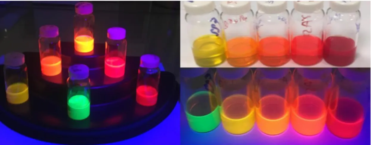 Figure  1.1:  Various  NPLs  synthesized  at  our  laboratory  emitting  at  different  wavelengths of the color spectrum